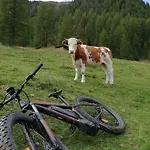 Goserhof * Innervillgraten