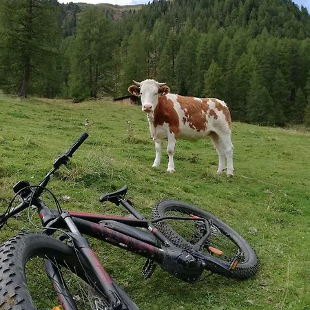 Goserhof * Innervillgraten